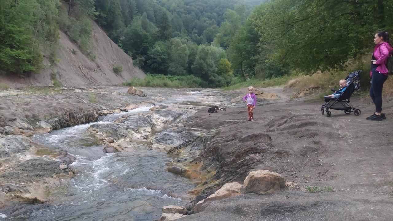 Садиба Федорчуків За Рікою1 Szeszory Zewnętrze zdjęcie